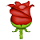 Rose :rose: :rose: